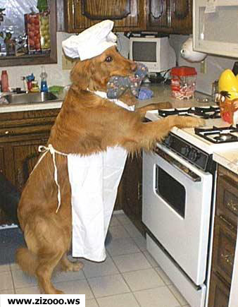 LA CUISINIERE